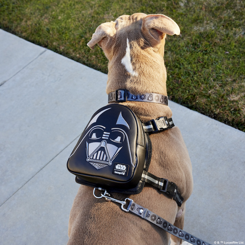 Brown-gray dog with a white stripe on the back of its neck wearing the Darth Vader mini backpack harness while sitting outside. 